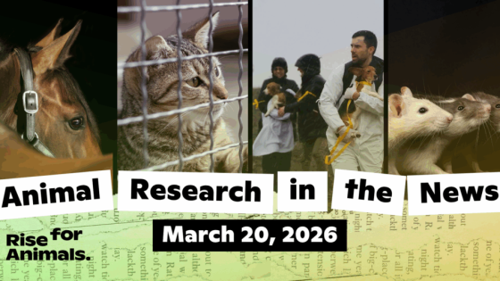 Protesters Attempt to Storm Wisconsin Beagle Research Facility
