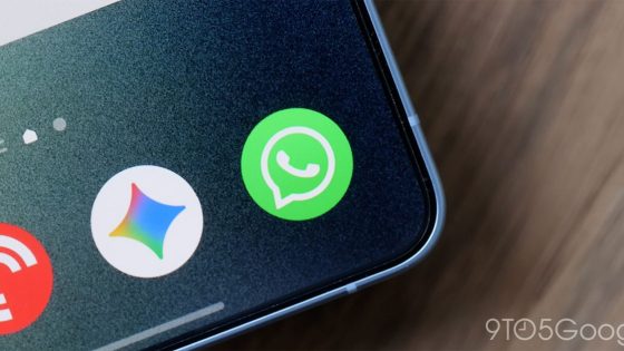 WhatsApp Introduces Usernames in Beta to Enhance Privacy