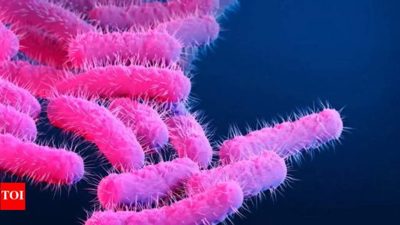 CDC Warns of Rising Drug-Resistant Shigella Cases in the U.S.