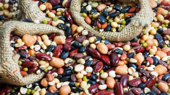 Beans and Meat: Comparing Complete Protein Sources