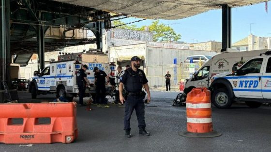 Men Seen Emerging from NYC Sewers in Brooklyn Neighborhoods